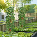 Enrejado de jardín de 2 unidades para jaulas de tomates con altura ajustable - Verde