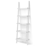 5-Tier Wall-leaning Ladder Shelf Display Rack for Plants and Books