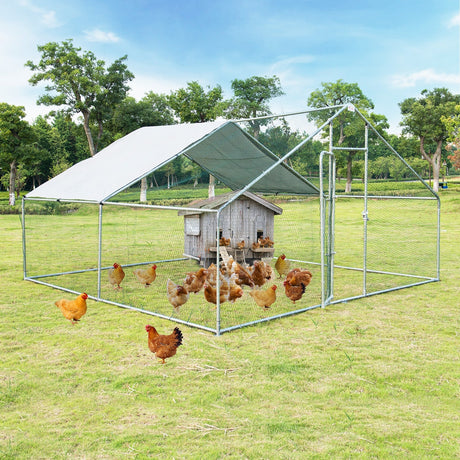 Gallinero transitable de 13 x 13 pies con cubierta impermeable para granja de patio exterior