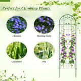 Paquete de 2 celosías de metal de 71 x 20 pulgadas, soportes inoxidables para plantas trepadoras para jardín