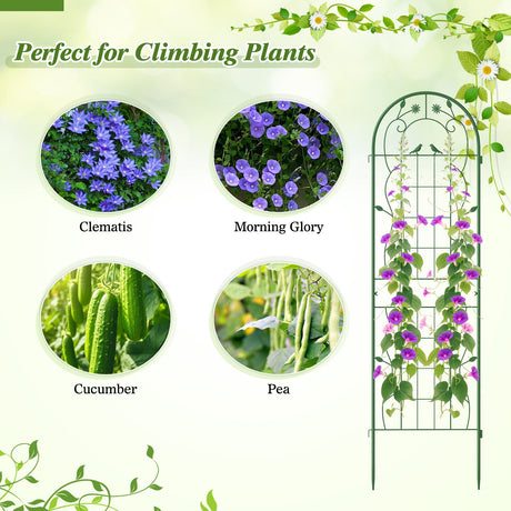 Paquete de 2 celosías de metal de 71 x 20 pulgadas, soportes inoxidables para plantas trepadoras para jardín