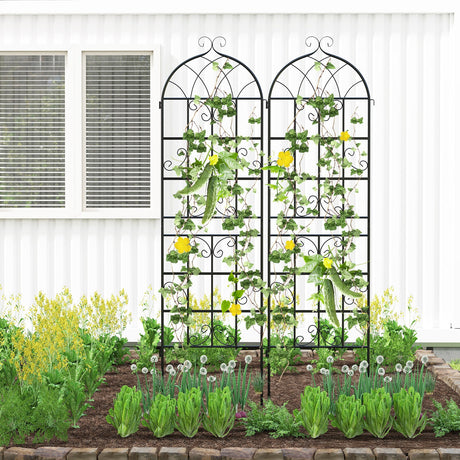 Paquete de 2 celosías metálicas para jardín de 180 x 50 cm para plantas trepadoras de exterior