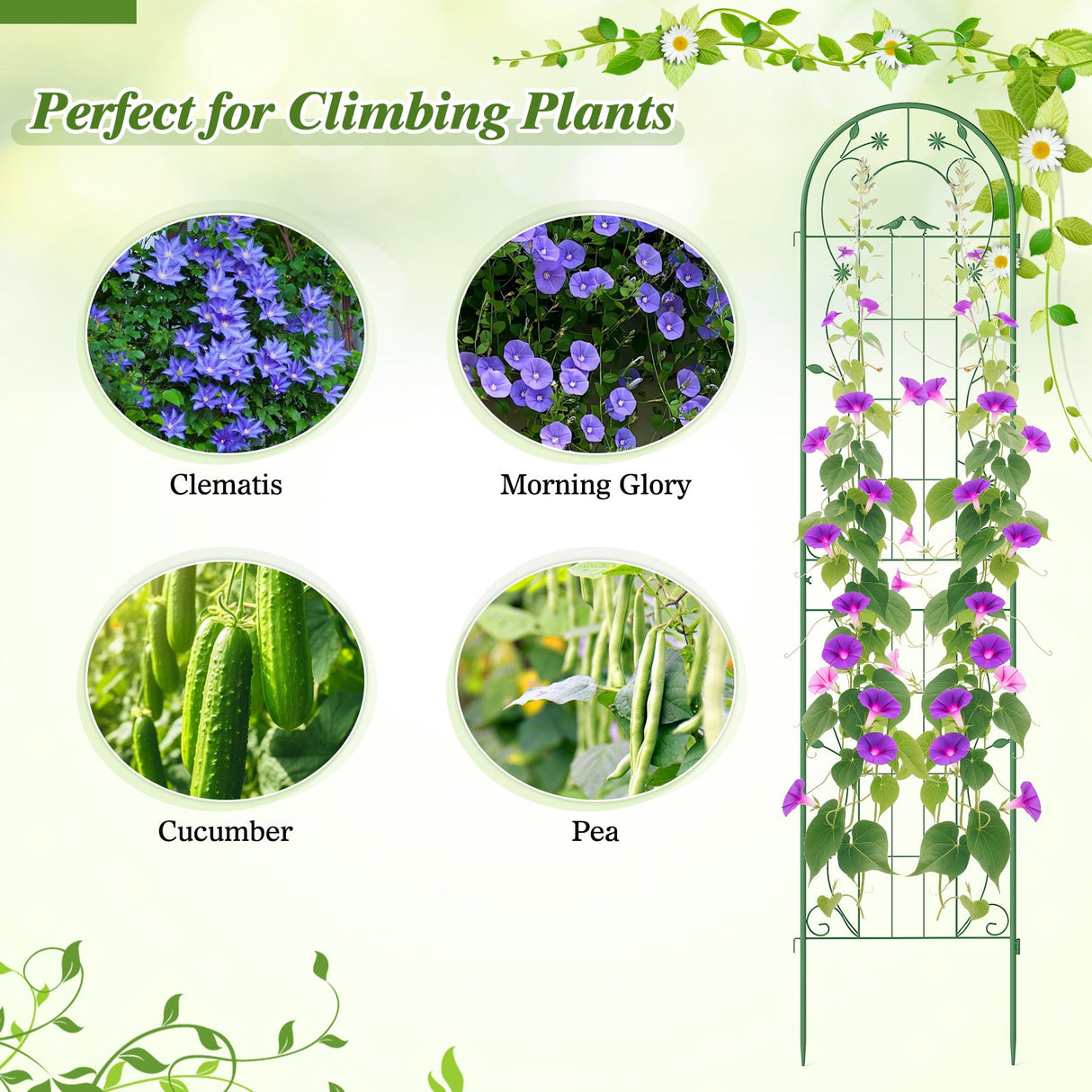 2 Pack 86.5 x 20 Inches Metal Garden Trellis for Climbing Plants