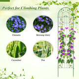 2 Pack 86.5 x 20 Inches Metal Garden Trellis for Climbing Plants