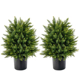 Paquete de 2 árboles de topiario artificiales de cedro con maceta de cemento