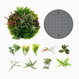 2 Pack Square Framed Artificial Foliage Wall Art