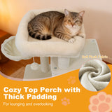 Torre para gatitos de 33.5 pulgadas con condominio de 2 niveles y percha superior acolchada