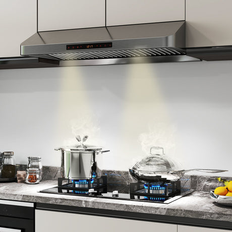 Campana extractora de 36 pulgadas bajo mueble 900 CFM para cocina con colector de aceite - Plateada