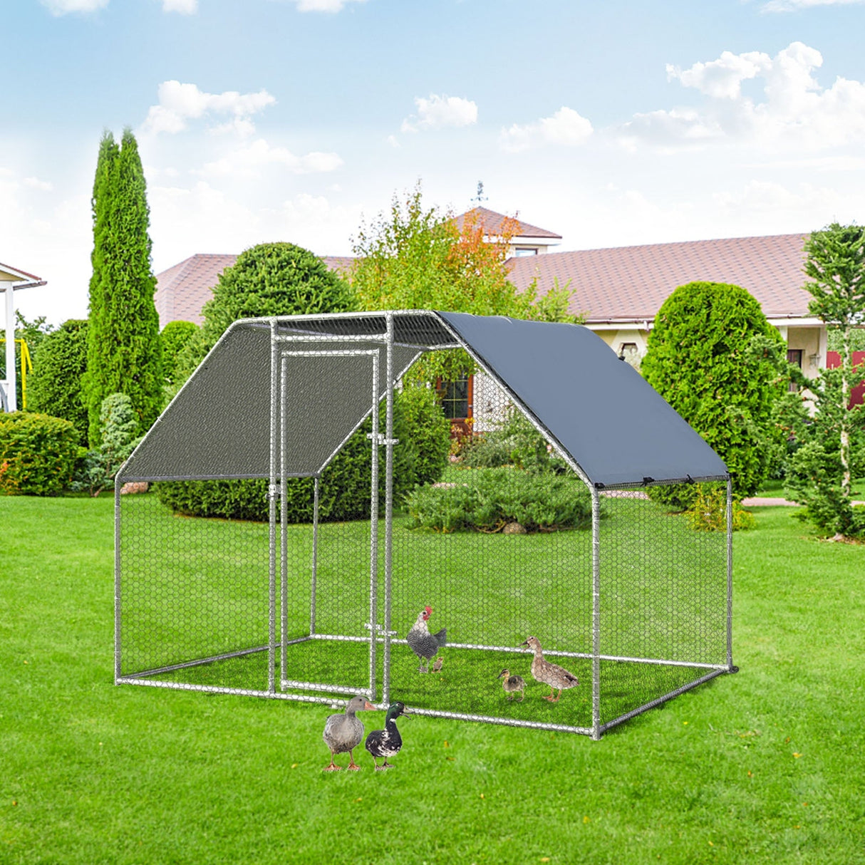 Corral Grande para Gallinas de 9.5 x 6.5 Pies