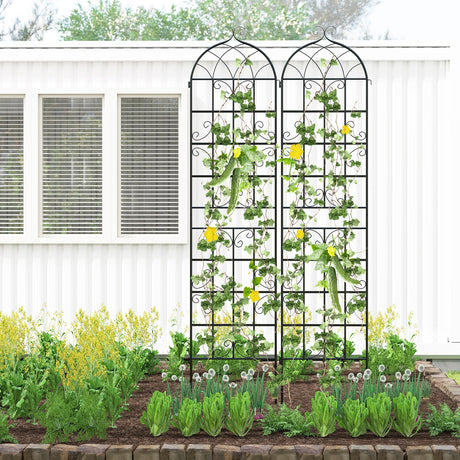 Paquete de 4 celosías metálicas de 218 cm x 50 cm para plantas trepadoras de exterior