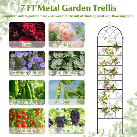 Paquete de 4 celosías metálicas de 218 cm x 50 cm para plantas trepadoras de exterior