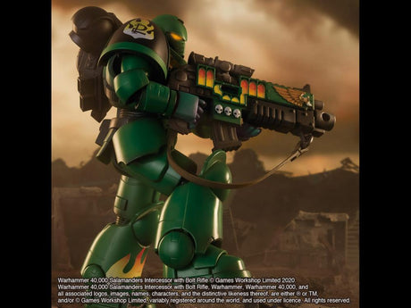 Warhammer 40K: Salamanders Intercessor