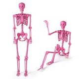 Esqueleto rosa articulado de 1,68 m (5,5 pies) de tamaño real para Halloween