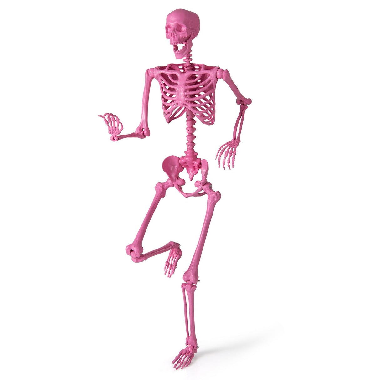 Esqueleto rosa articulado de 1,68 m (5,5 pies) de tamaño real para Halloween