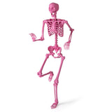 Esqueleto rosa articulado de 1,68 m (5,5 pies) de tamaño real para Halloween