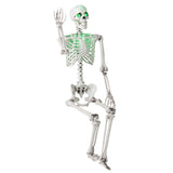 5.5 FT Halloween Skeleton Life-Size Posable for Indoor Outdoor Decoration