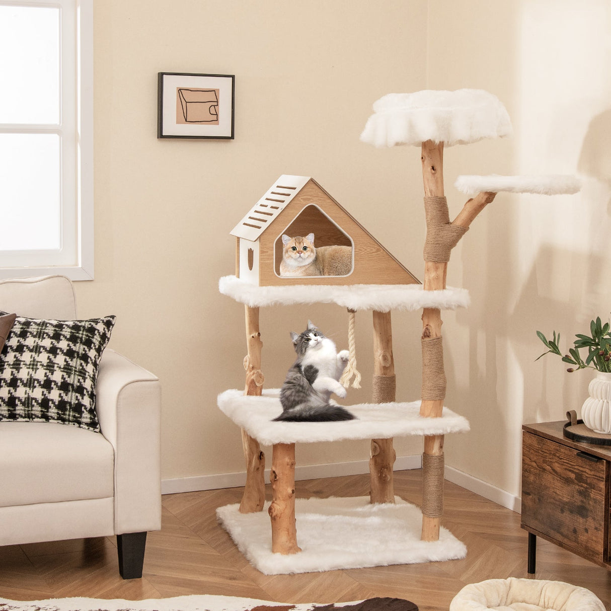 Árbol para gatos de madera maciza de 60 pulgadas de alto, torre rascador moderna con 2 perchas, color blanco