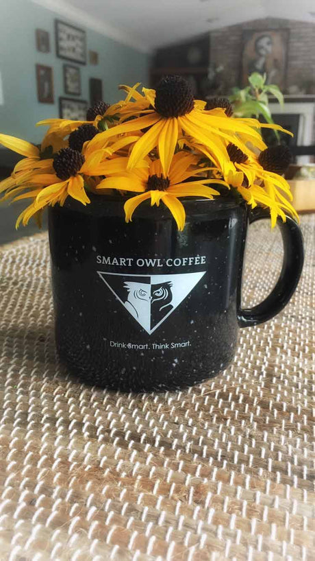COGNITION BLEND | Cognitive Coffee