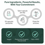 Ocean Dietary Supplement Iron Supplement with Lipofer - Supports Healthy Iron Levels & Anemia Support - 30 Tablets