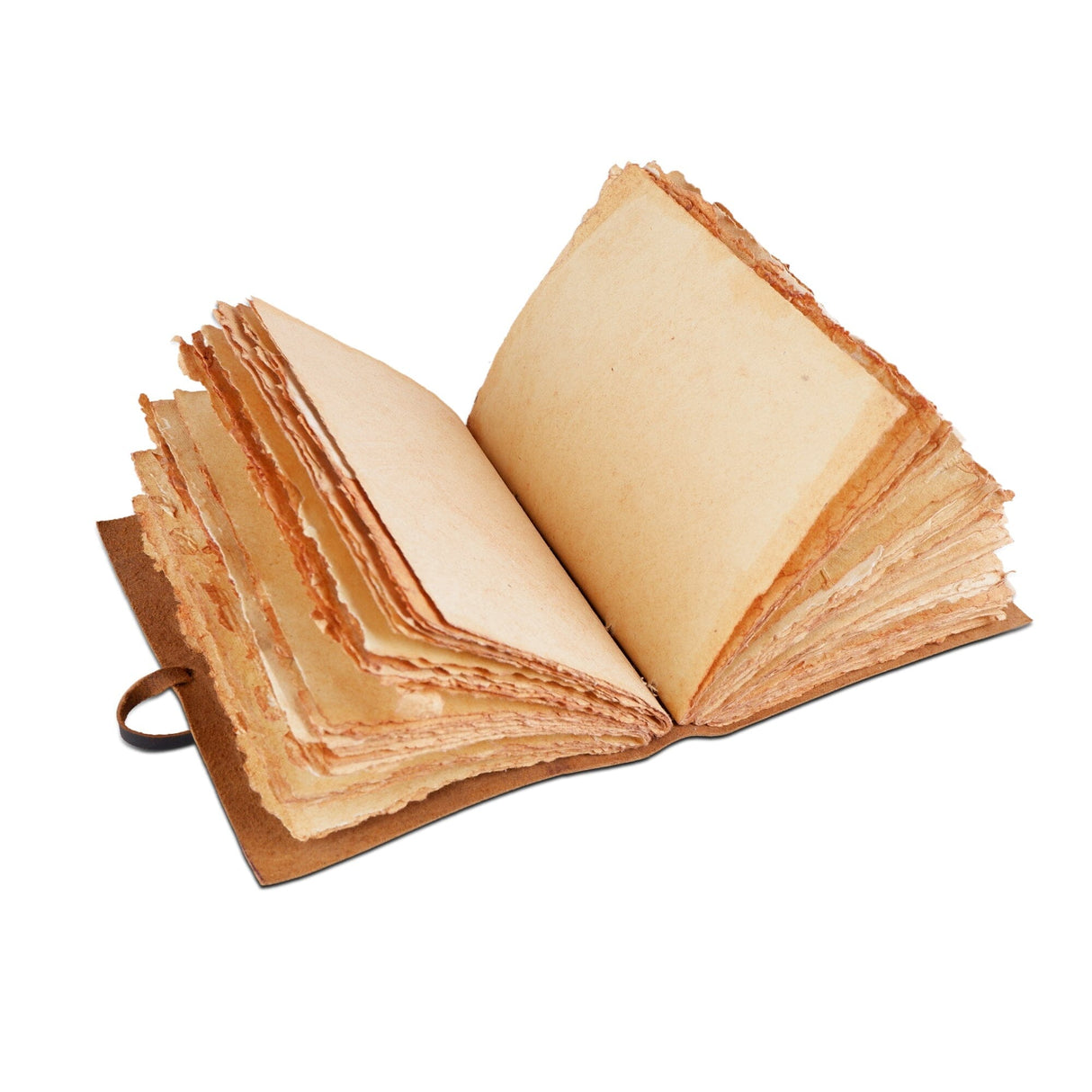 Cuaderno El Árbol de la Vida