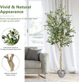 6 Feet Artificial Olive Tree in Cement Pot