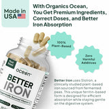 Ocean Dietary Supplement Iron Supplement with Lipofer - Supports Healthy Iron Levels & Anemia Support - 30 Tablets