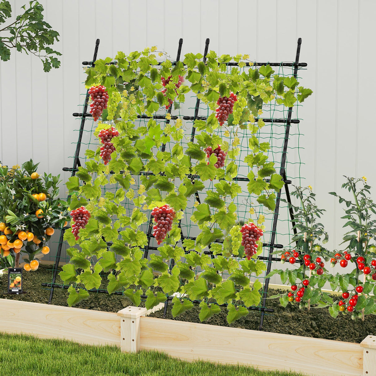 Celosía de jardín de 74 pulgadas de alto para enredaderas de flores, verduras, frutas, guisantes - Negro