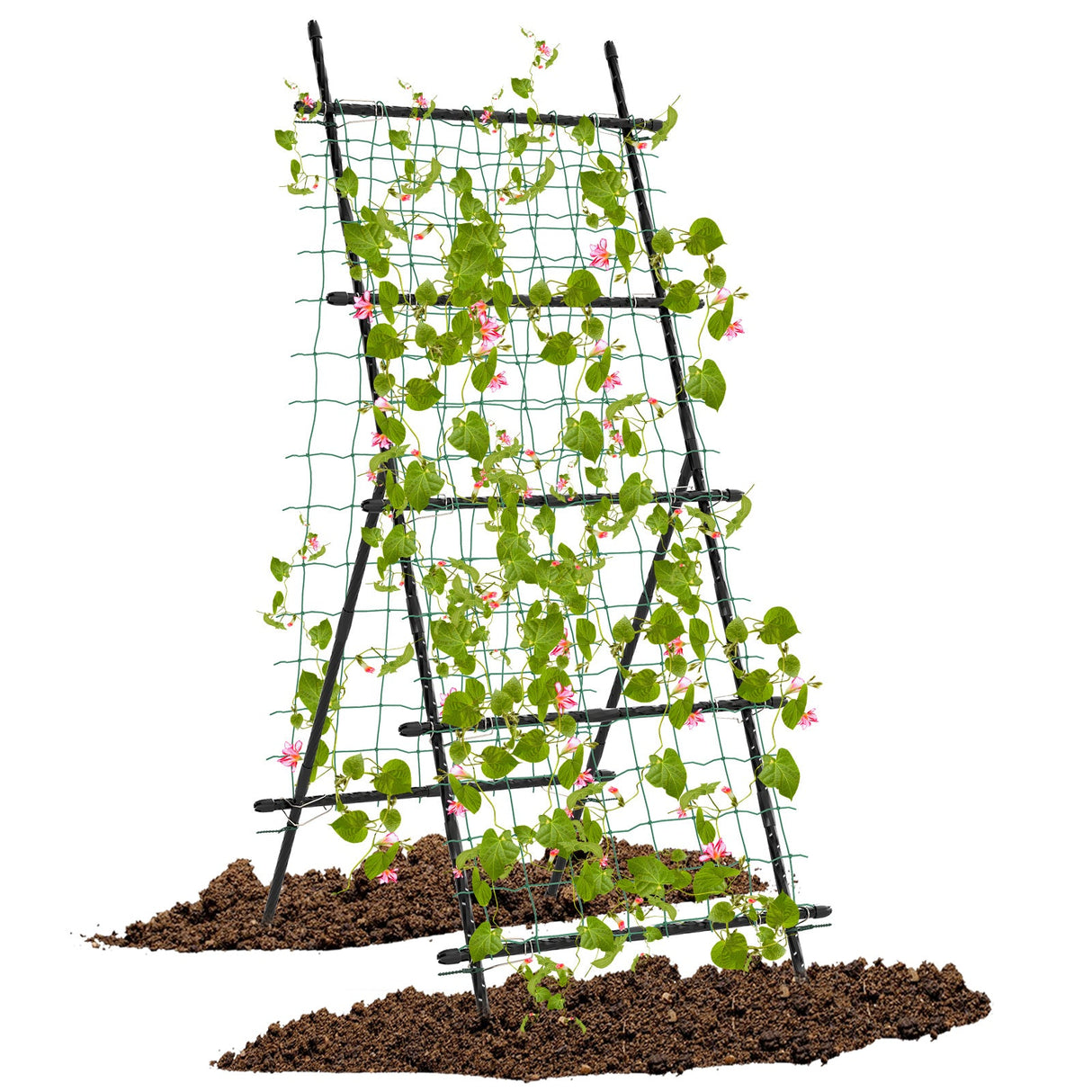 Celosía de jardín de 74 pulgadas de alto para enredaderas de flores, verduras, frutas, guisantes - Negro