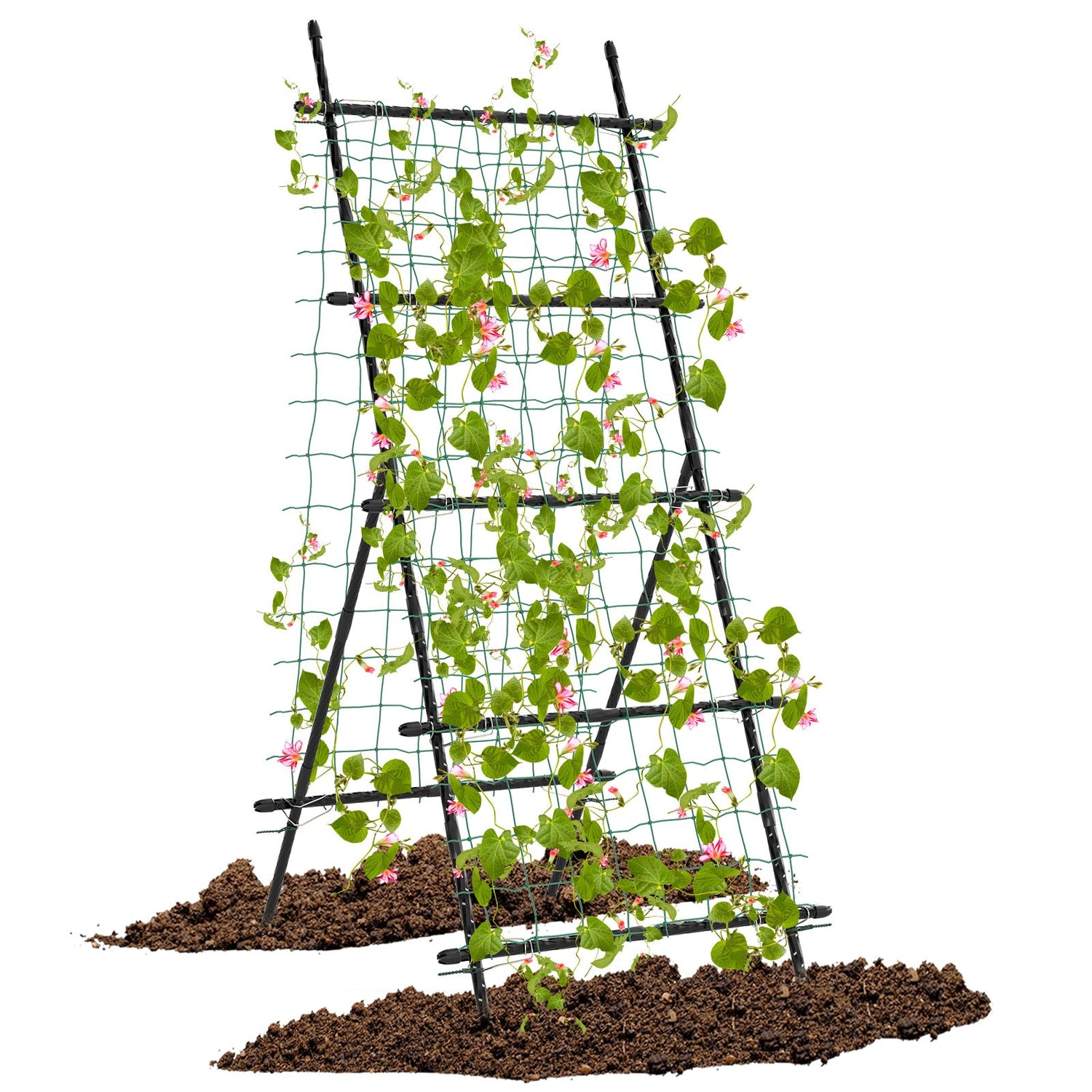 Celosía de jardín de 74 pulgadas de alto para enredaderas de flores, verduras, frutas, guisantes - Negro
