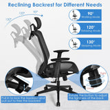 Height Adjustable Ergonomic High Back Mesh Office Chair with Hange