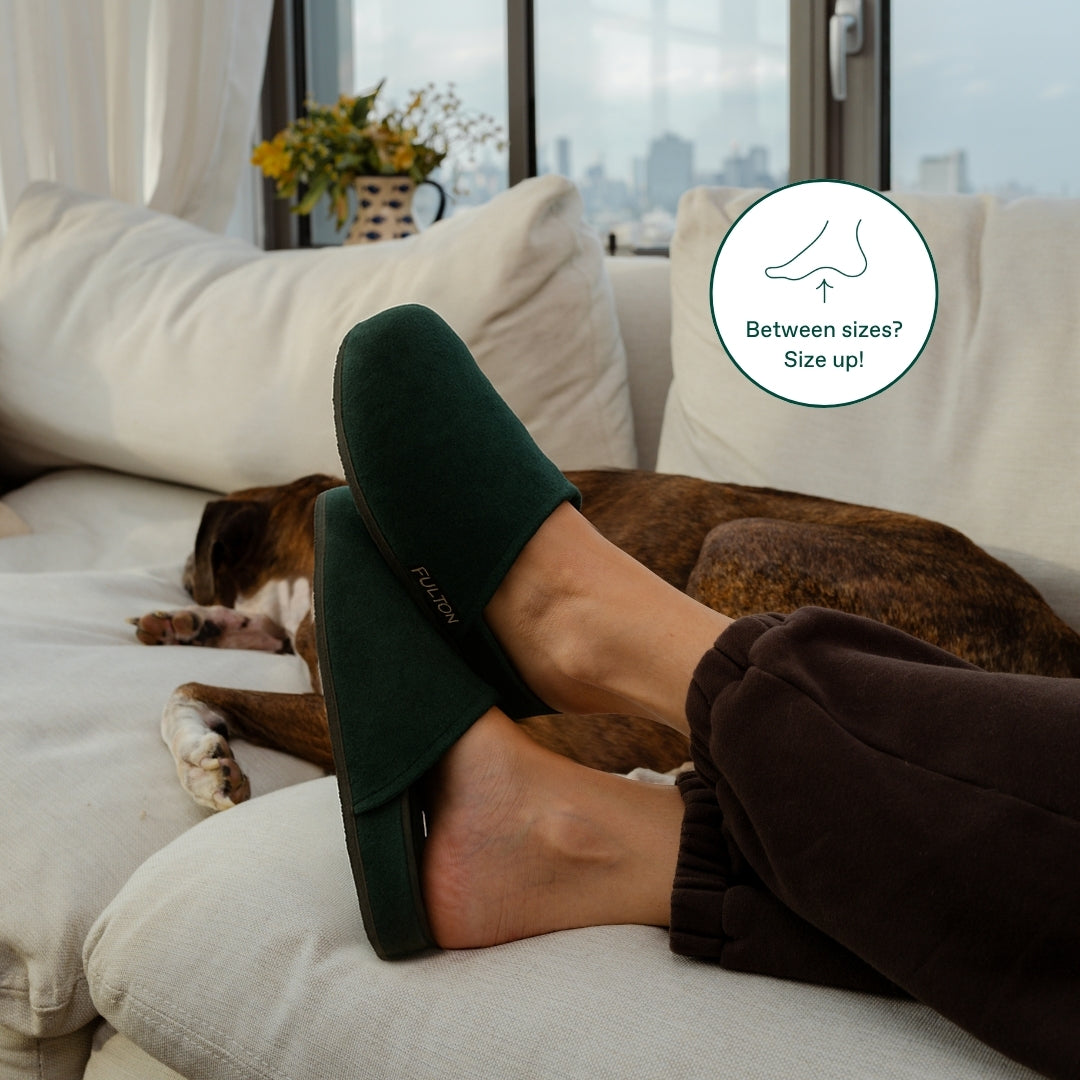 La Zapatilla de Casa