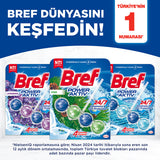 Bref Toilet Block Duopack Pine - Effective Cleaning | 2 Pack