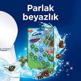 Domestos Toilet Block Pine Forest 100g - Maximum Freshness and Hygiene