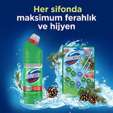 Domestos Toilet Block Pine Forest 100g - Maximum Freshness and Hygiene