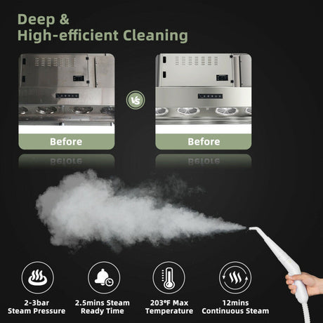 Limpiador de vapor portátil multifunción de mano de 1000 W con 10 accesorios