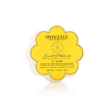 Sweet Patchouli | Daisy Spongette