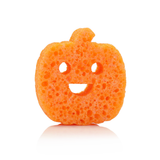 Calabaza Especiada de Calabaza | Amigos Fantasmales de Amortiguación
