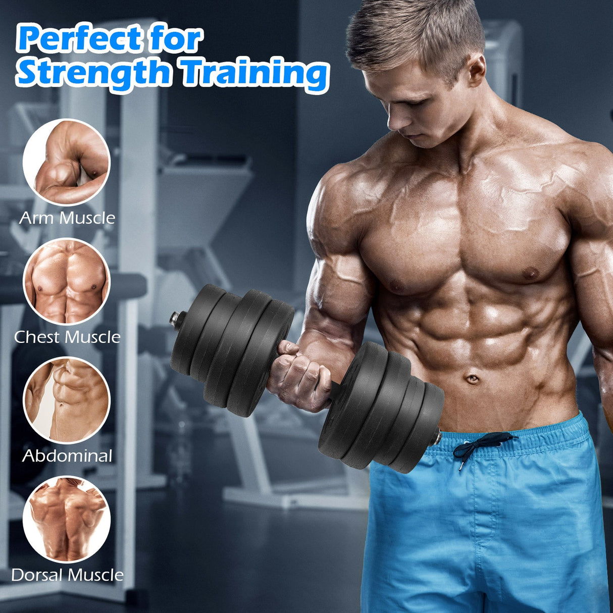 Mancuernas ajustables de 66 libras, pesas libres con conectores para entrenamientos de fitness en casa