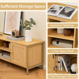 Mueble de TV Boho para televisores de hasta 55 pulgadas con puerta de ratán sintético - Natural