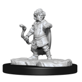 Critical Role: Lotusden Halfling Ranger Male