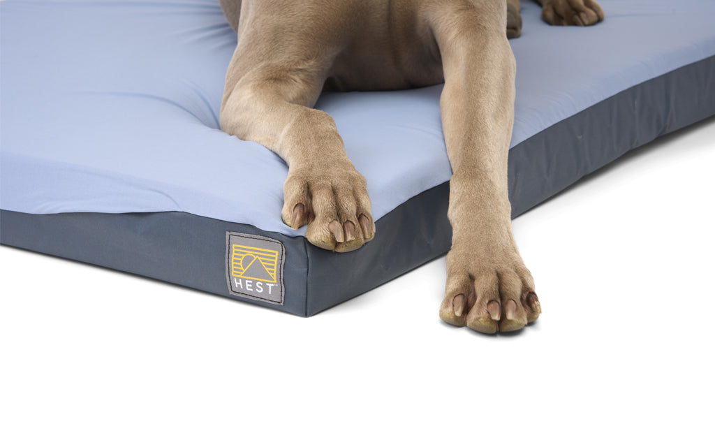 Cama para Perros HEST