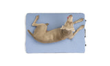 Cama para Perros HEST