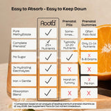 Essential Prenatal Nutrition + Electrolytes