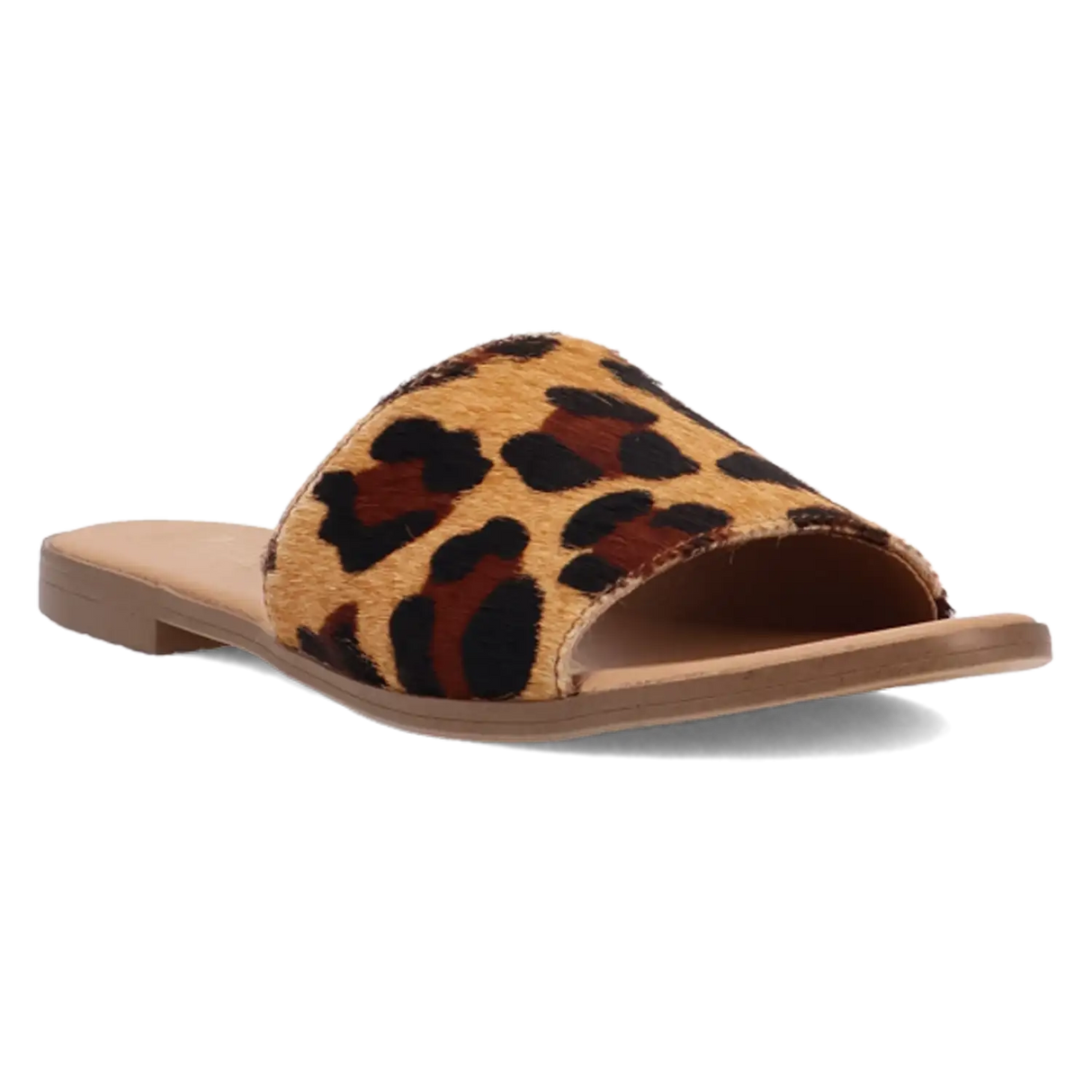 Dingo Tabby - Sandalias de mujer