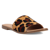 Dingo Tabby - Sandalias de mujer