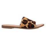 Dingo Tabby - Sandalias de mujer