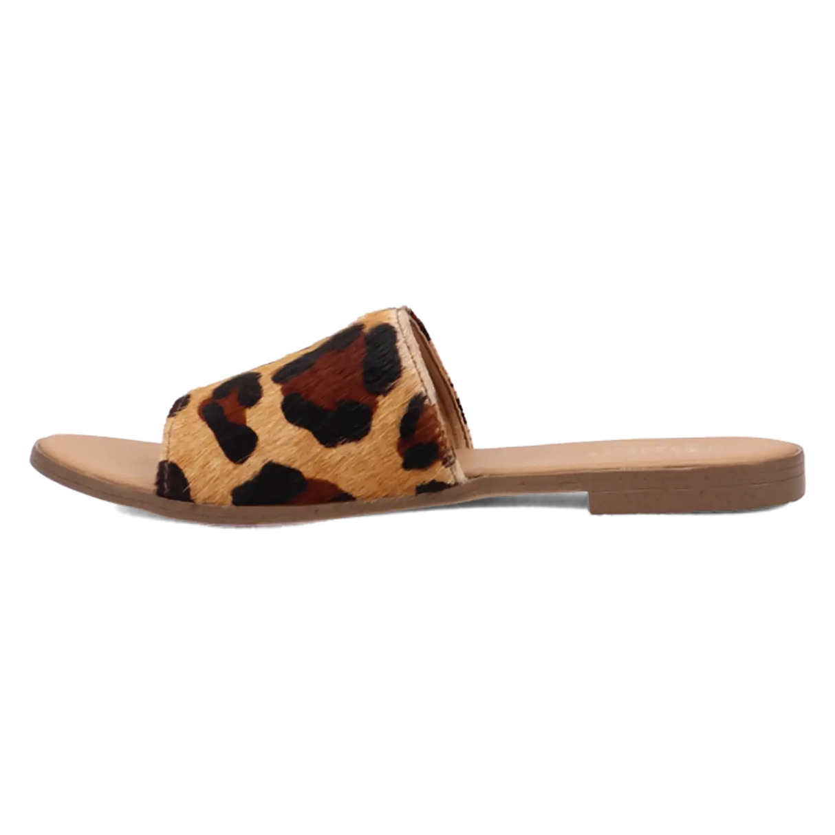 Dingo Tabby - Sandalias de mujer