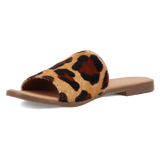 Dingo Tabby - Sandalias de mujer