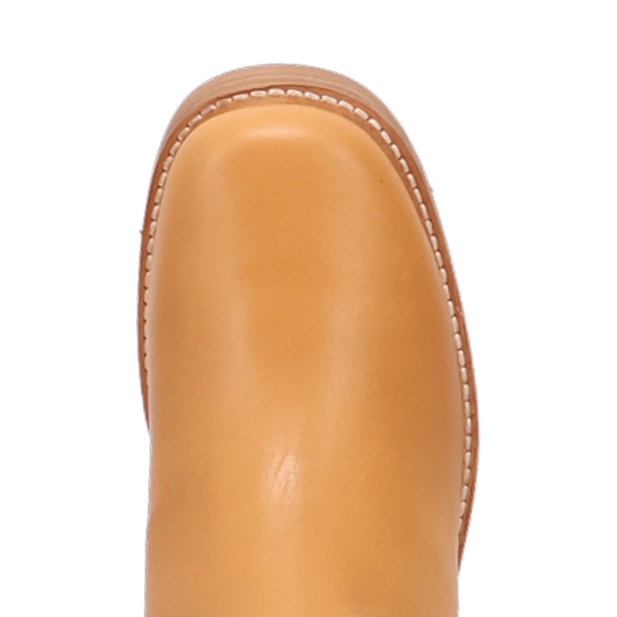 Dingo Roxy - Botines de piel para mujer