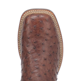 Dan Post Alamosa (Chocolate/Brown) - Men's Ostrich Skin Leather Cowboy Boots